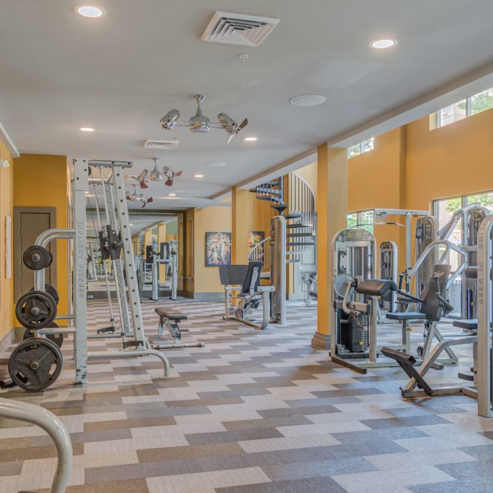 13th-Olive-Gym1