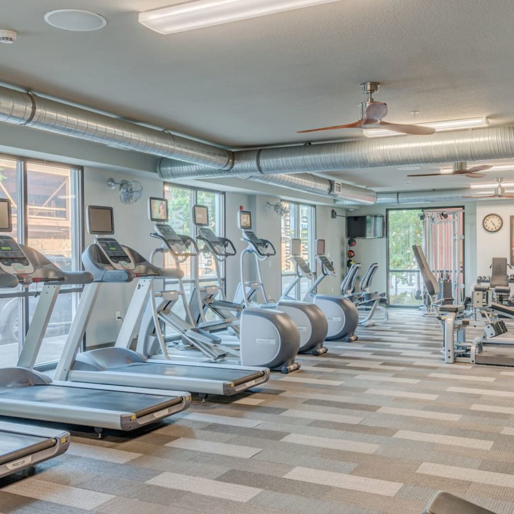 13th-Olive-Gym7